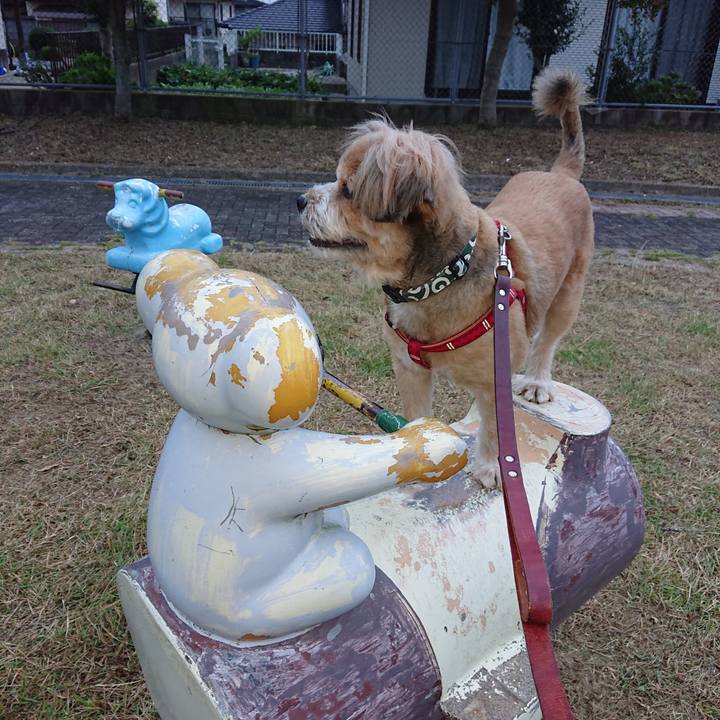 Afc162c0 2a00 4074 9e7e f0d15e9045c7 1601848583008