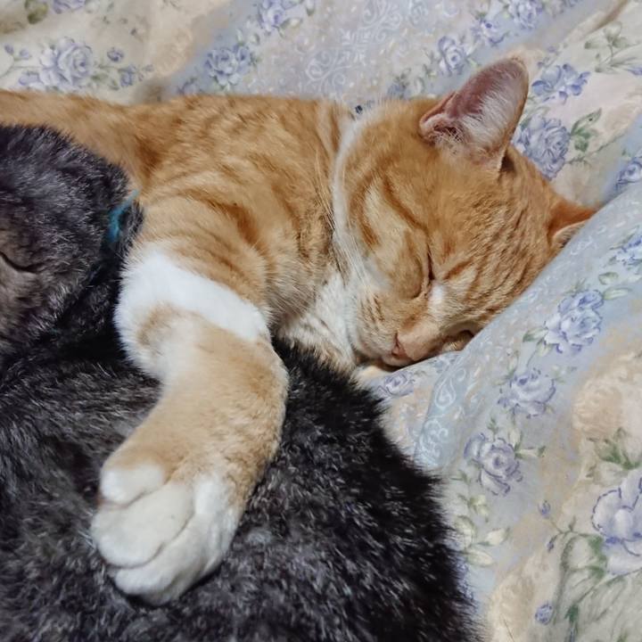 Afc176a7 71bb 4811 a26d 031a32cafaef 1575378058467