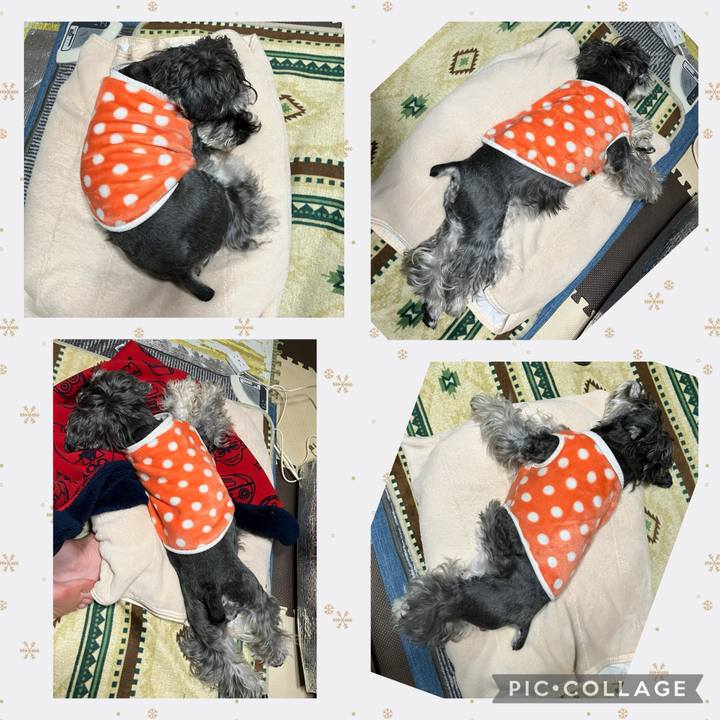 Afc17d0a b0be 4ece afa4 c6f3f6d46a37 1740881721573