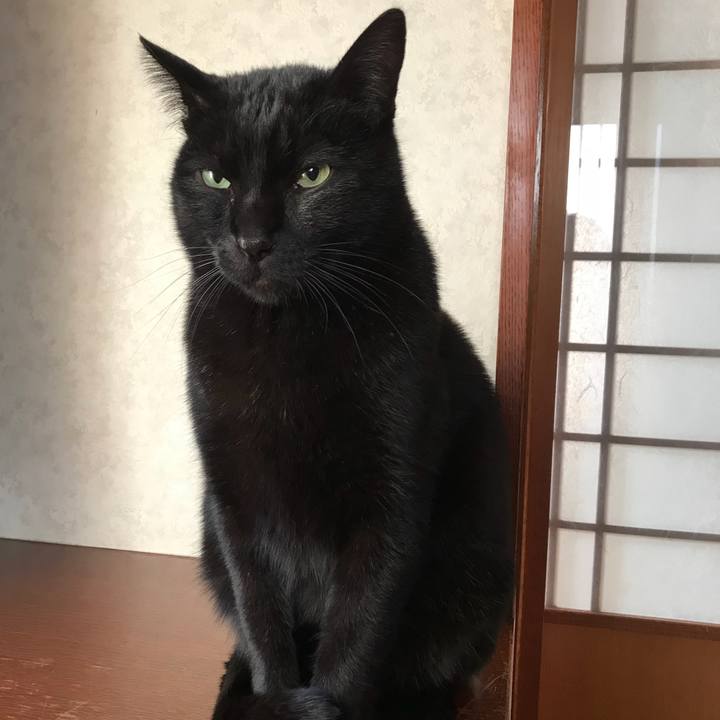 Afc1a947 edf7 4d8c ab70 5e0d287dd1cb 1513385401075