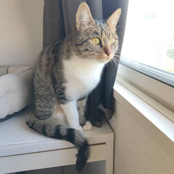 Afc1d0e4 7899 4de2 9ff3 efa98bbfebe3 1683320946065