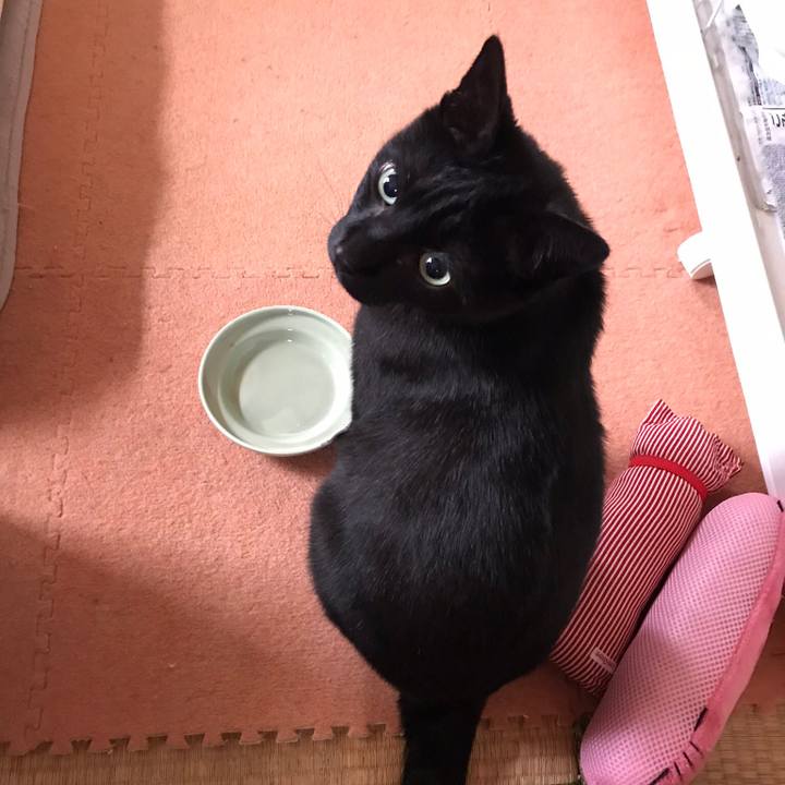 Afc1dbb2 d9f8 4dd6 a72d 62b07612ddba 1529286066259