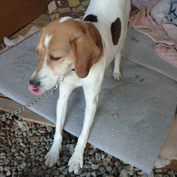 Afc205e9 4f35 4f10 889d b0feb43c9da1 1607069165176