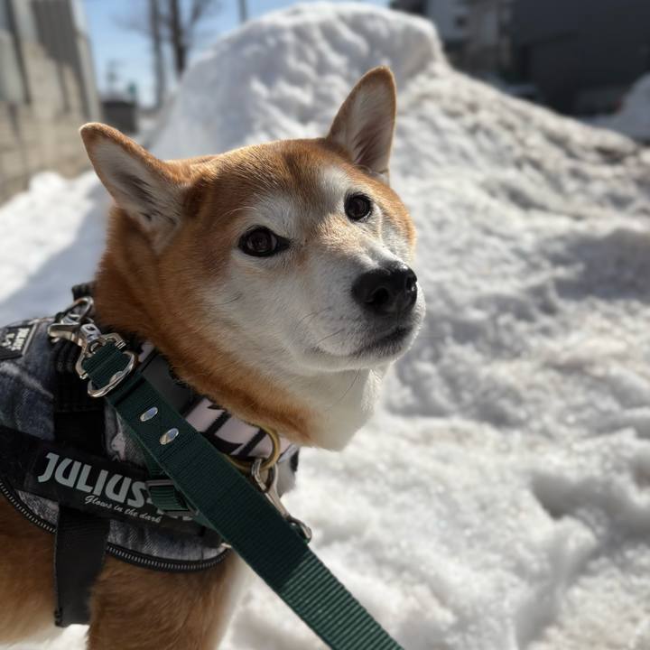 Afc23028 21ff 42ee b50d 4a3e53586d99 1771815213052