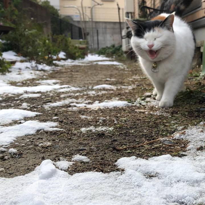 Afc24bab b1ca 46b2 a100 21c46a2c4018 1610183276184