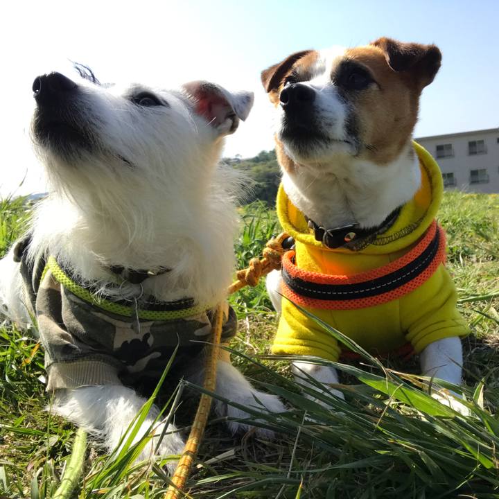 Afc278bb a807 41e0 97e4 fc169134389c 1524098322136