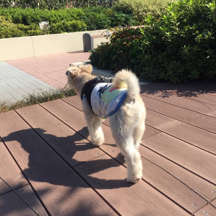 Afc281c9 bba2 48cd b291 3fb24beee73b 1540464736836