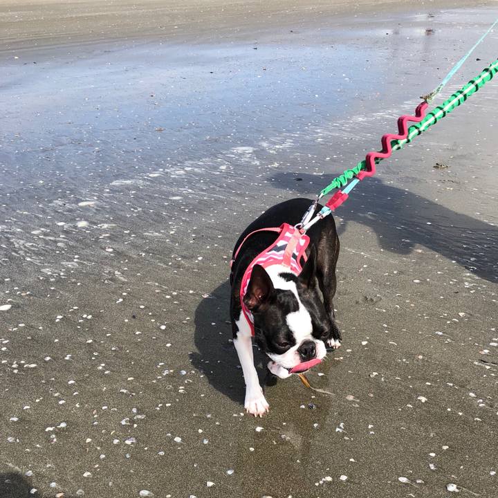 Afc2af10 08d6 472e 9554 48abe8ef3d1a 1538999049467