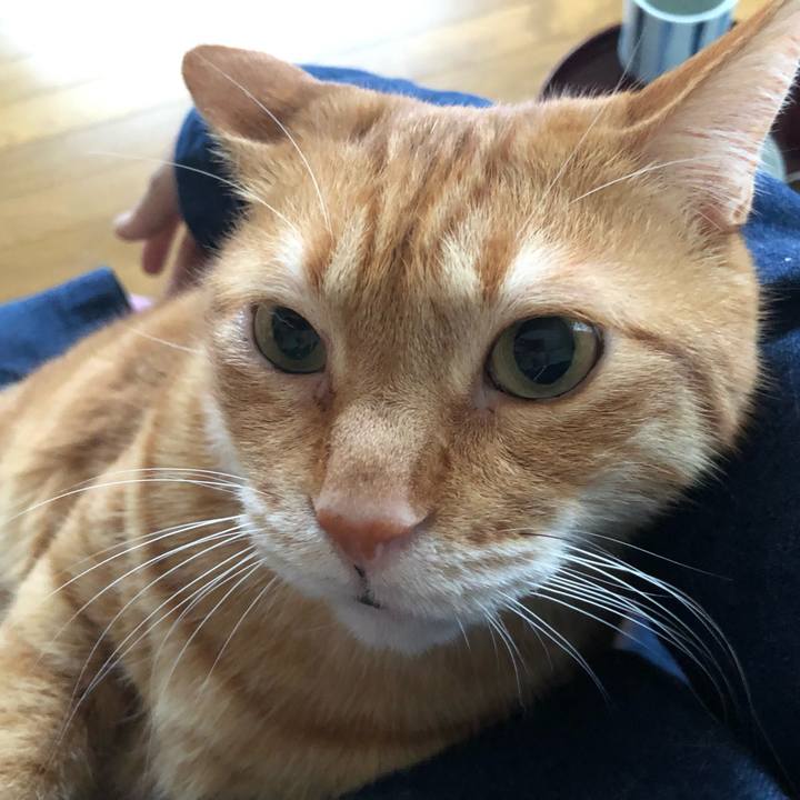 Afc2b61b 19c5 44c2 a4bd 8009680fb084 1650791933086