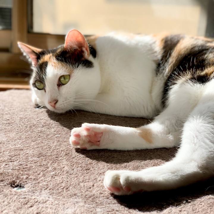 Afc2e23e b798 4645 b046 bb795854be86 1539223322408