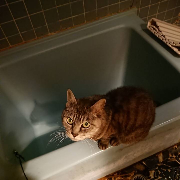 Afc32084 5f0b 47ca 9829 eca1116830ba 1569489635479