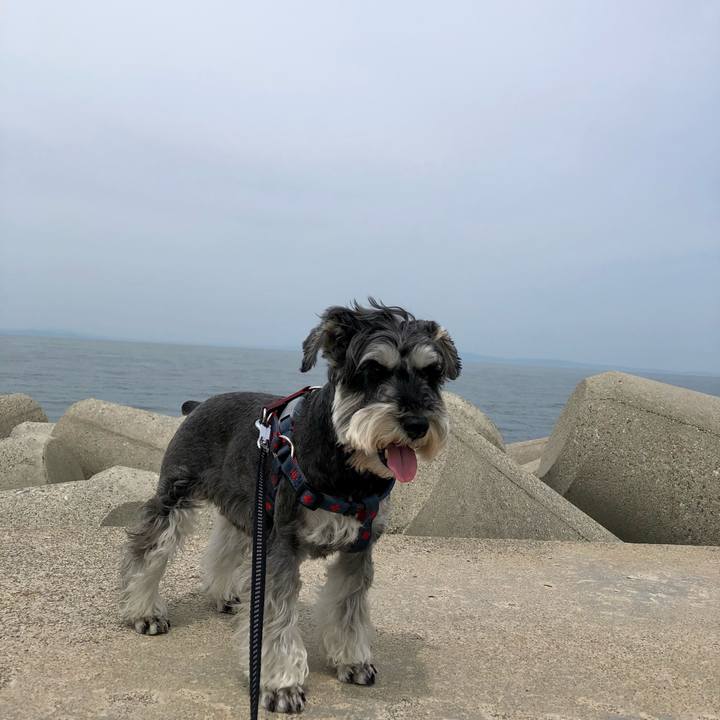 Afc34340 f3b6 41be a2f4 1983db604193 1653572990646