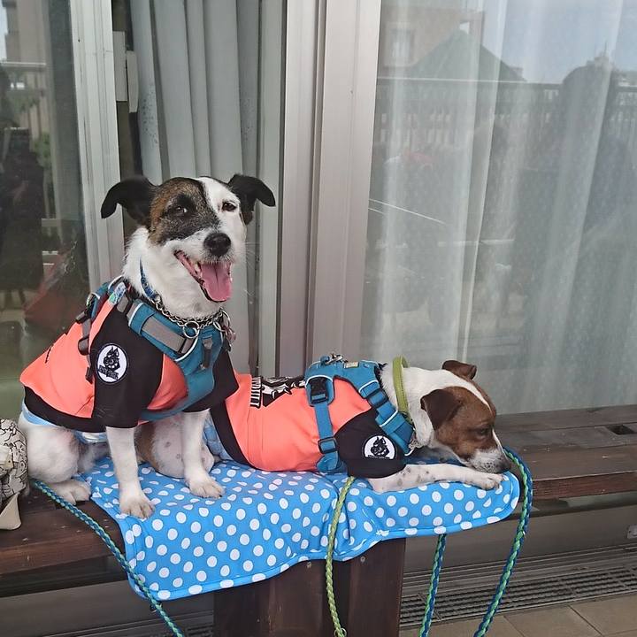 Afc36ed8 cfda 4466 96b1 58ee83073656 1589522484113