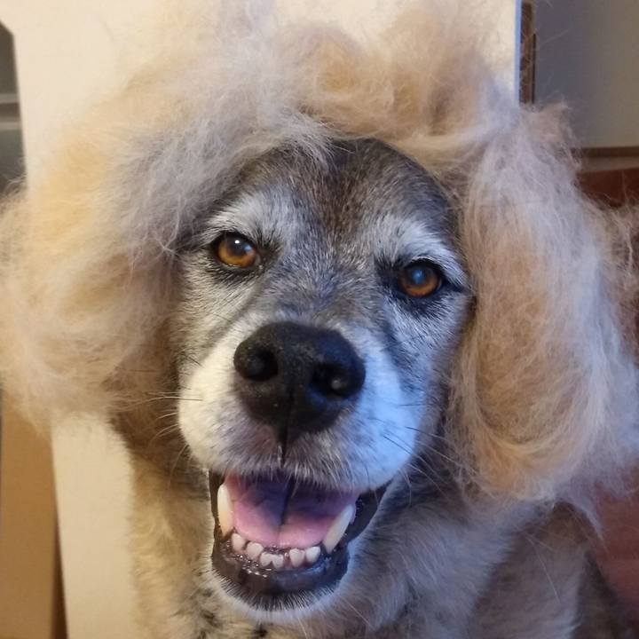 Afc37da4 4505 4437 b142 fa4acf12a8c3 1625612936543