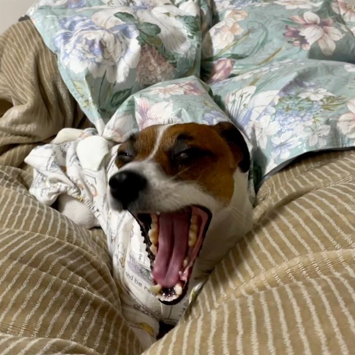 Afc3861b 0daa 4fac 9dec d1c8998568c4 1644921419044