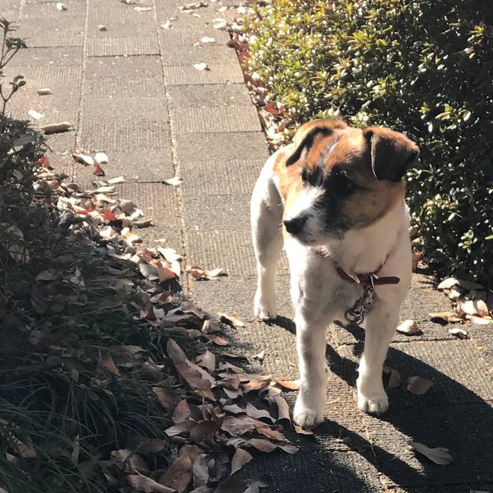 Afc39b84 fd97 45d7 904c 25240f40081c 1517038319366