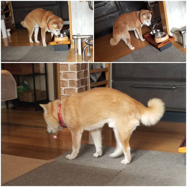 Afc3b2a8 a9f1 4402 a288 1cd2b7db6c20 1771042851165