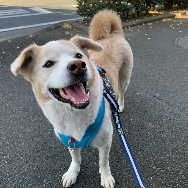 Afc3c171 099a 431f 9a5f 9d02b7433b59 1667695313989