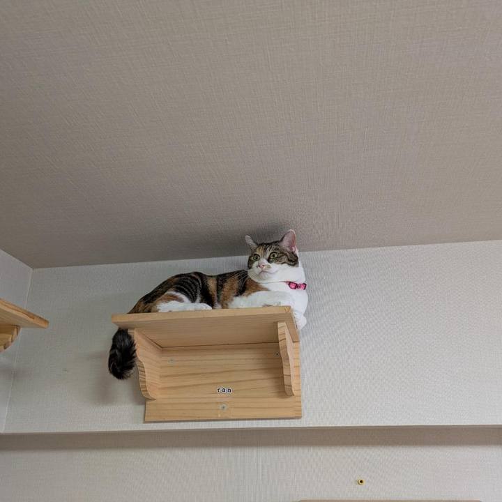 Afc3e568 6907 46ef b307 82806517ae91 1766614472999