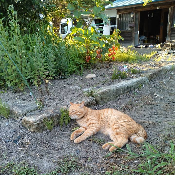 Afc44748 25b9 4455 8cb5 c1e814b51b62 1690281620499