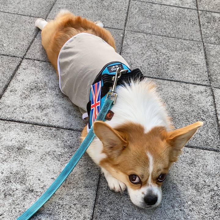 Afc46d15 6313 4706 bdc2 334ae5902651 1628031966384