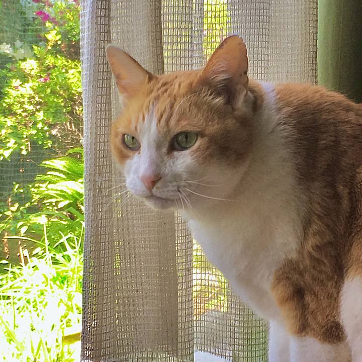 Afc47732 d98a 4259 be05 fddd96e696b3 1620632363151