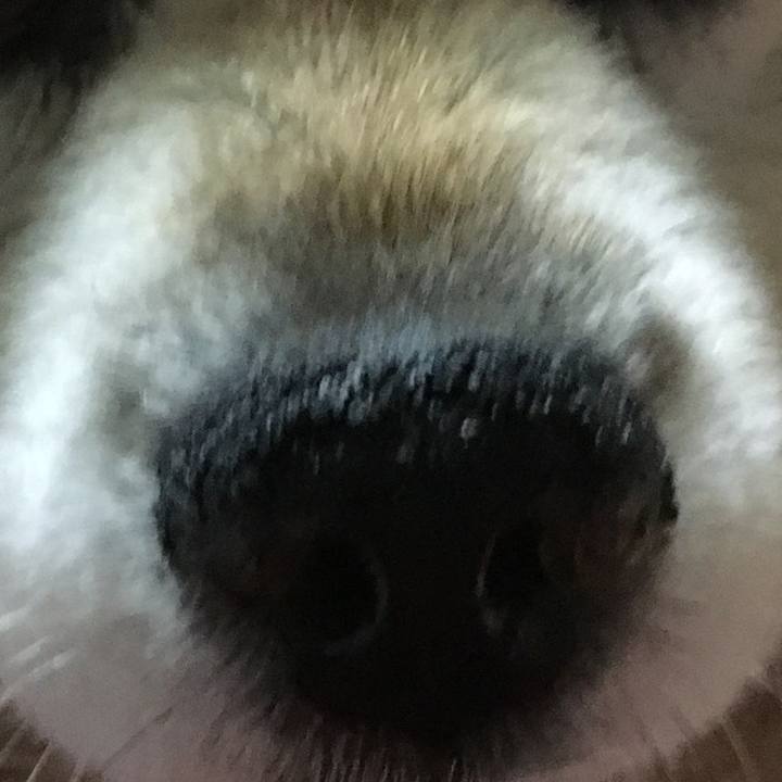 Afc4aa18 02c9 4583 a66a 386f0dea47d2 1605249104233