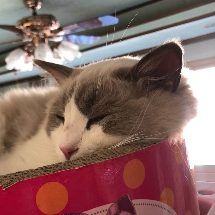 Afc4dd1f b8eb 4ae3 afbe 146752d140b2 1574209851487