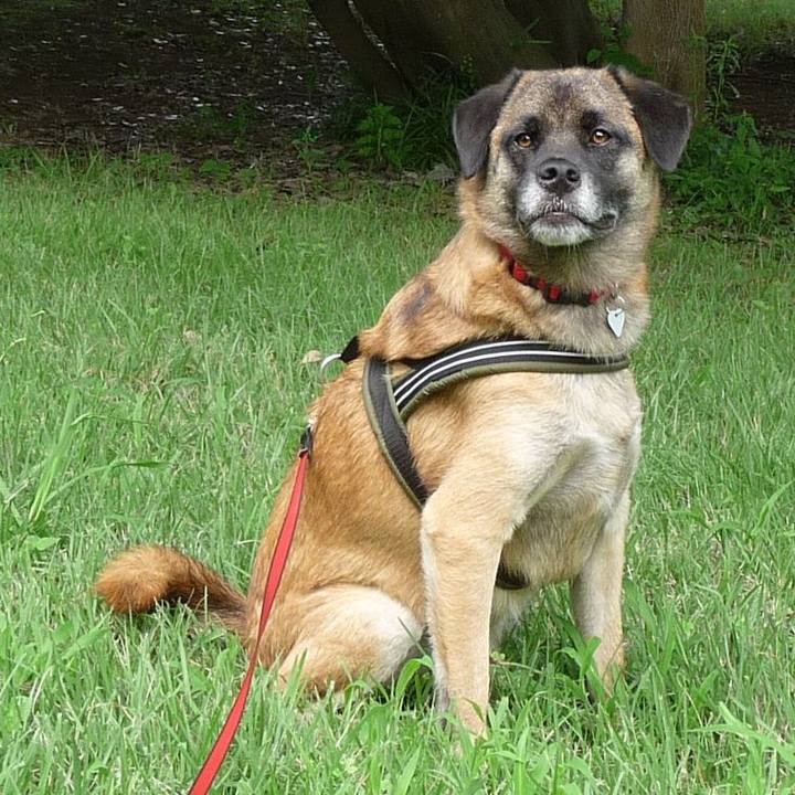 Afc514de c07e 4d0f 87ac 3e17c9443f75 1577061647751