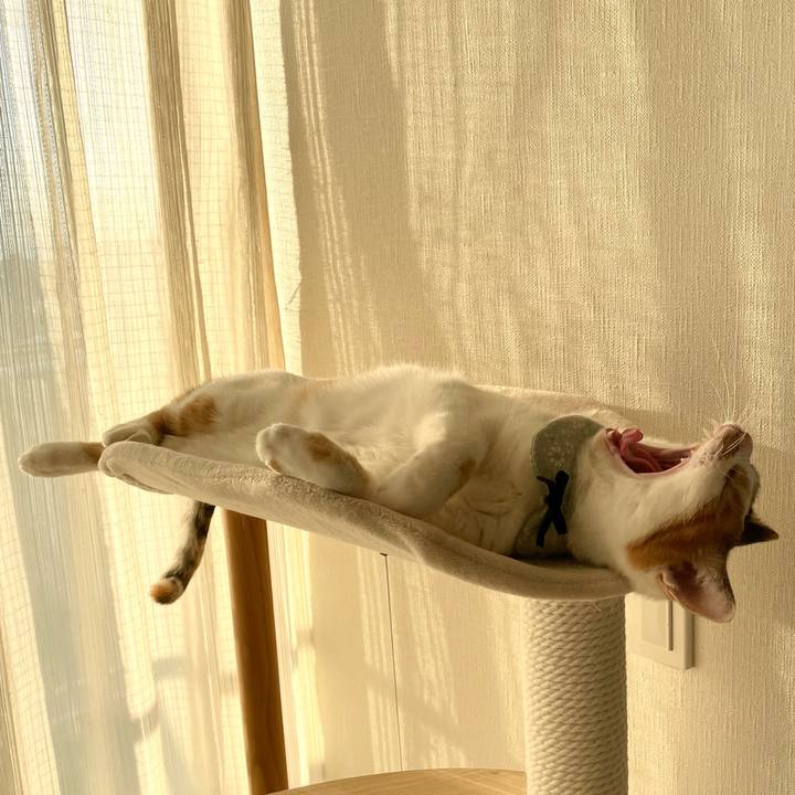 Afc5275e 8bc1 4404 8893 3cd2129f7568 1667114285050