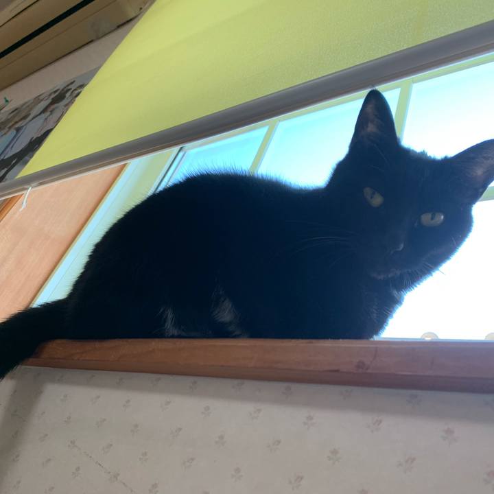 Afc56b69 66e4 4a83 92e1 30c19343b92f 1587764393570