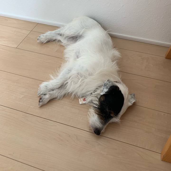 Afc57bdf 3927 40ab 81c2 33b47ca068ef 1629258948193