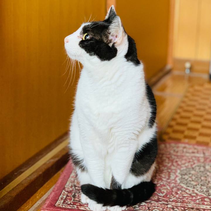 Afc5a00b 7f0f 430c 8877 6dca6c77392d 1603936102759