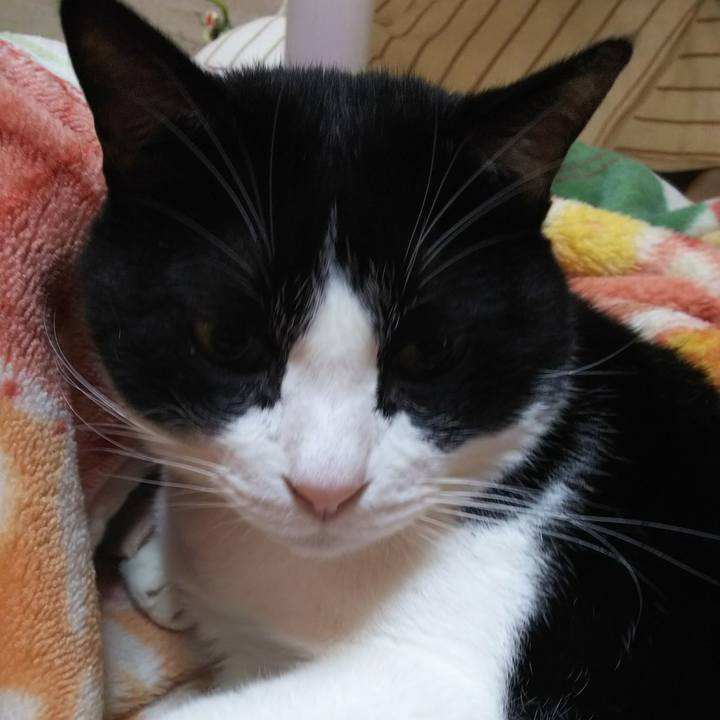 Afc5a072 3414 4ef9 9015 06180e57e9ba 1539996474217