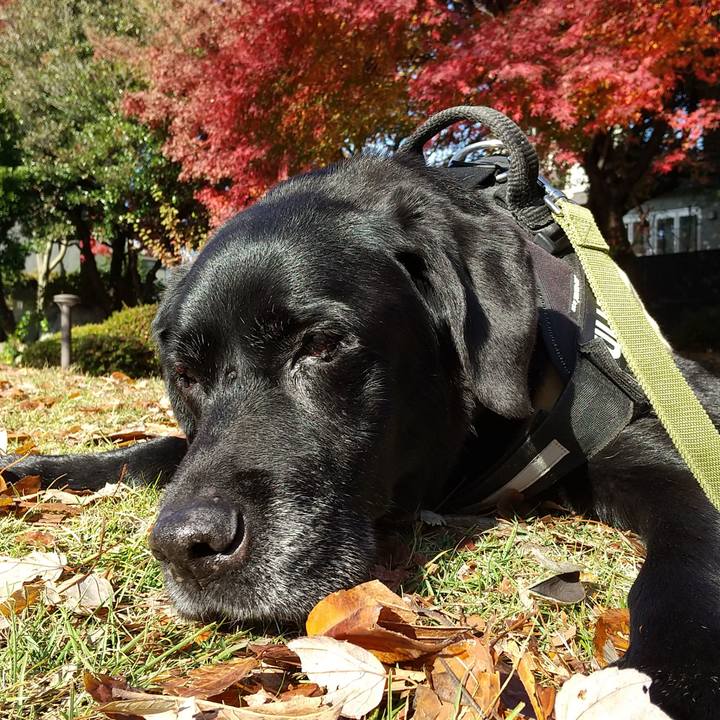 Afc5a774 5fe5 4cb8 87e0 3b4222ec452e 1702354612730