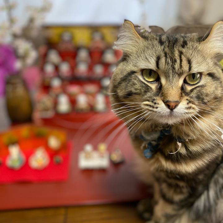 Afc5b243 18a0 4416 9a57 a7a462436f55 1614896916333