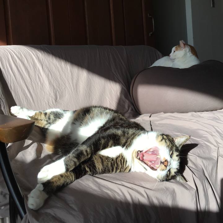 Afc6b7d0 2e97 450d beae 1ee2a9c4139a 1520640105091