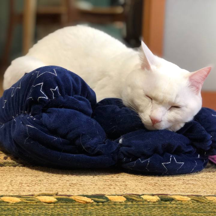 Afc6c4cd 9cdc 4d78 8a05 259d37e79836 1582071211761