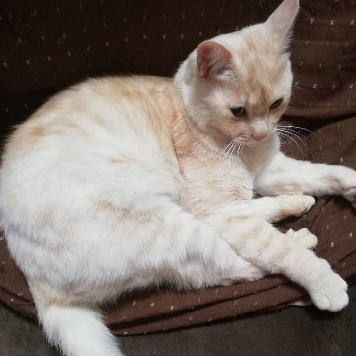 Afc71e6e 057f 4013 a26b 1c75c978d783 1646222262632