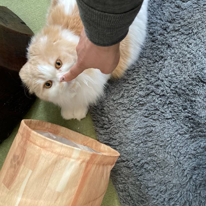 Afc76cc9 9ad8 47c3 9b7c be427f5f214c 1610111123887