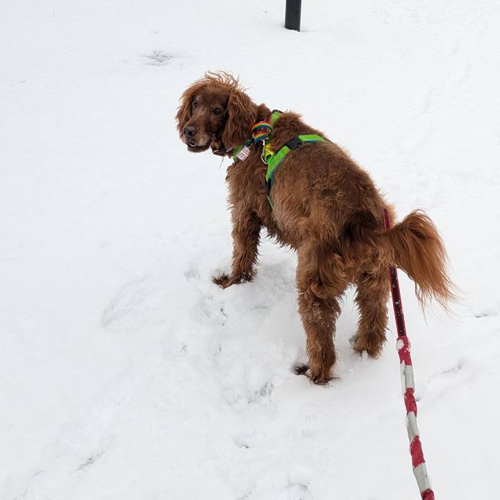 Afc78f47 1f19 439c 8fcb f5febcb76dc9 1768468961384