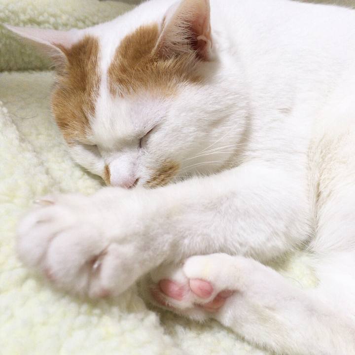 Afc7b410 521f 4813 bb61 f98f385a1ba1 1511095105764