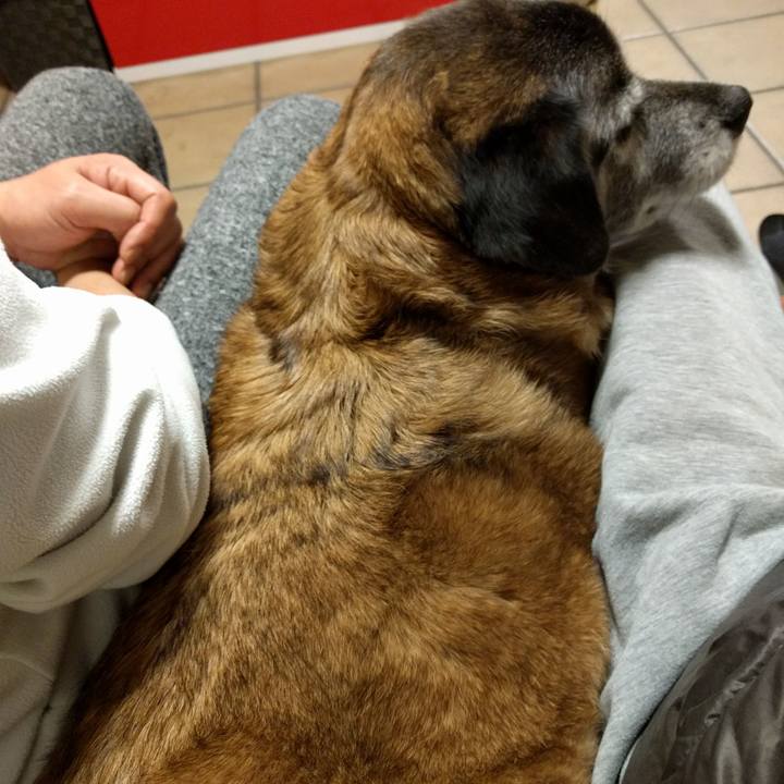 Afc7c72f e2f8 4199 81f8 d4b8fea661e1 1522681903331