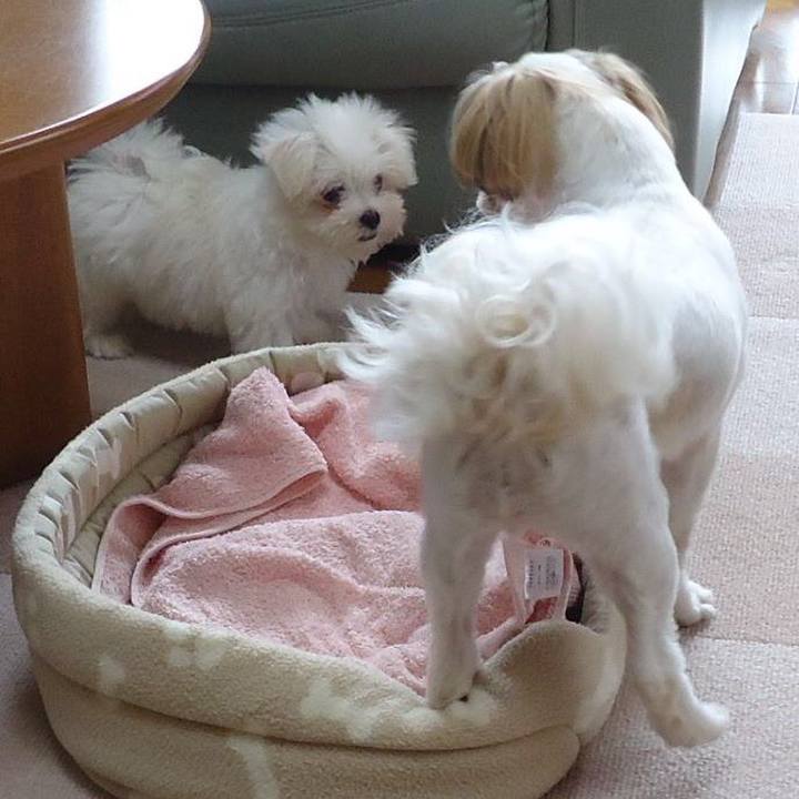 Afc7dc5e efb9 47c4 831c 7e71e1ed2e2a 1524634253998