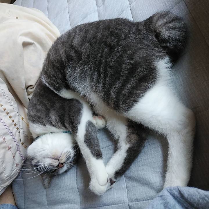 Afc80ffe e4e2 425d 9822 02367d0d59ef 1586393512306