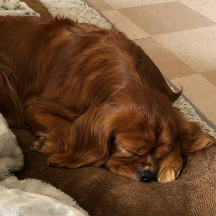 Afc828fe 9d08 4321 9f2e 51e7805ae9ee 1608157634220