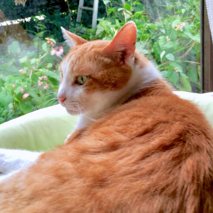 Afc84d45 8811 430f ab76 04989954c18a 1565924620070