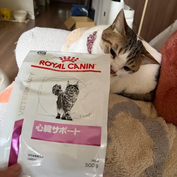 Afc84e29 fdff 4f99 9d3b 2973c5c37c35 1775524787410