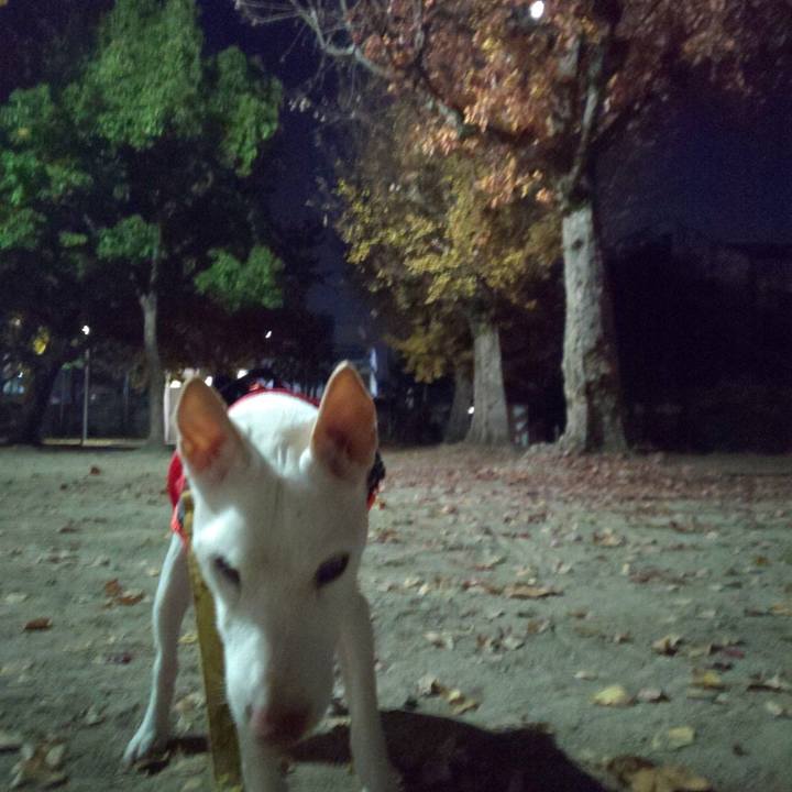 Afc89f09 0506 47a5 afa0 19b942684371 1575881372816