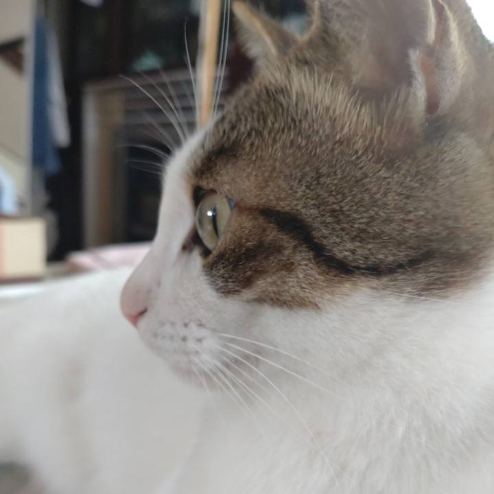 Afc9020d e464 40a6 b846 4931735a8b11 1695007700367